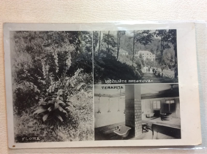 BRESTOVEC STARA RAZGLEDNICA LJEČILIŠTE BRESTOVAC FLORA TERAPIJA 1938.