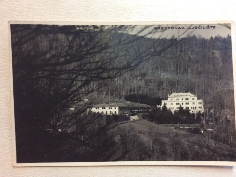 BRESTOVEC STARA RAZGLEDNICA LJEČILIŠTE BRESTOVAC POGLED IZ DALEKA 1925.