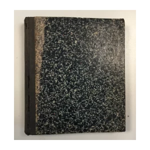 SAVREMENIK :  LJETOPIS DRUŠTVA HRVATSKIH KNJIŽEVNIKA : KNJIGA I. KNJIGA II.   GODINA I. 