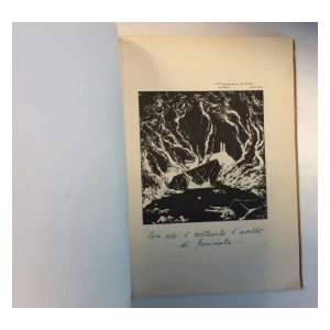 G. VERZOCHI : VENI VD VICI