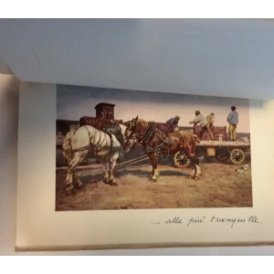 G. VERZOCHI : VENI VD VICI