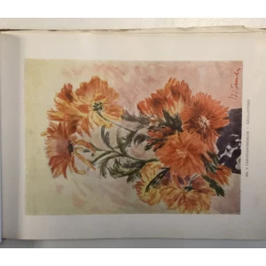 MITROVIĆ - KOSOR : AKVARELI