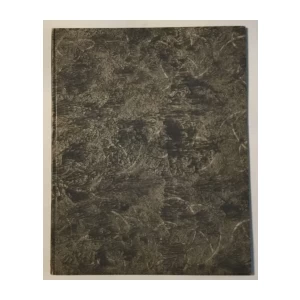 PROTOKOL OD 14.02.1848. SKUPŠTINE DIONIČARA PRVE HRVATSKE ŠTEDIONICE U ZAGREBU