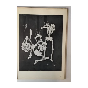 RIKO DEBENJAK MONOGRAFIJA GRAFIKA