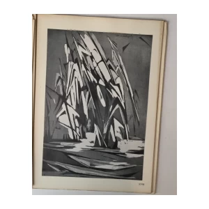 RIKO DEBENJAK MONOGRAFIJA GRAFIKA