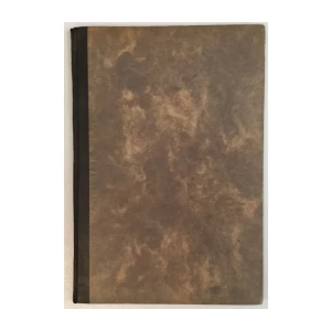 LJUBOMIR DIRKOVIĆ-JAKŠIĆ: PRILOZI STOGODIŠNJICI GORSKOG VIJENCA