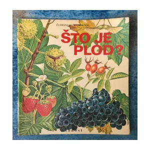 ŠTO JE PLOD ?